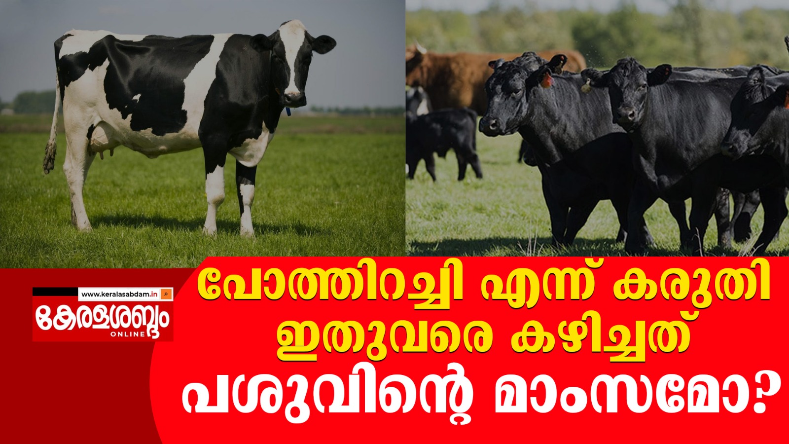 കടയിൽ നിന്നും വാങ്ങുന്ന ബീഫ് പോത്തിറച്ചി തന്നെയാണോ എന്നറിയാമോ? 